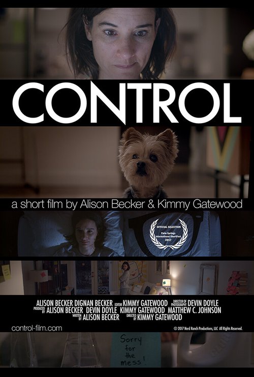 Контроль  (2017)