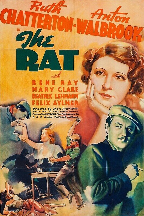 Крыса  (1937)