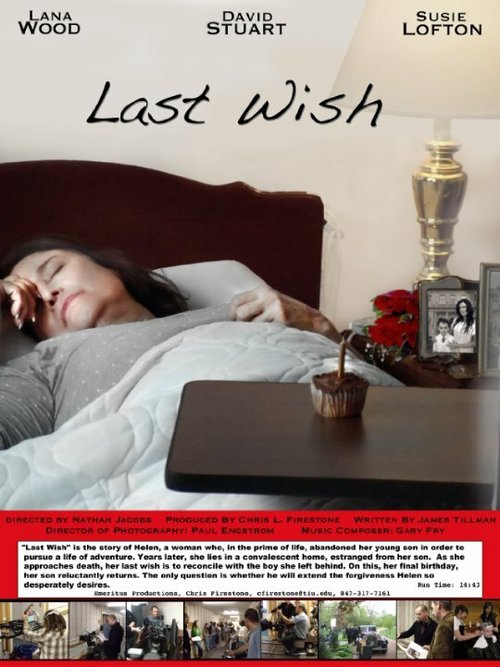 Last Wish  (2010)