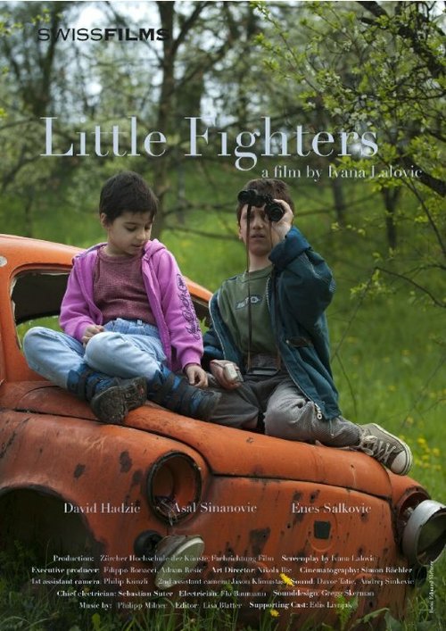 Little Fighters  (2010)