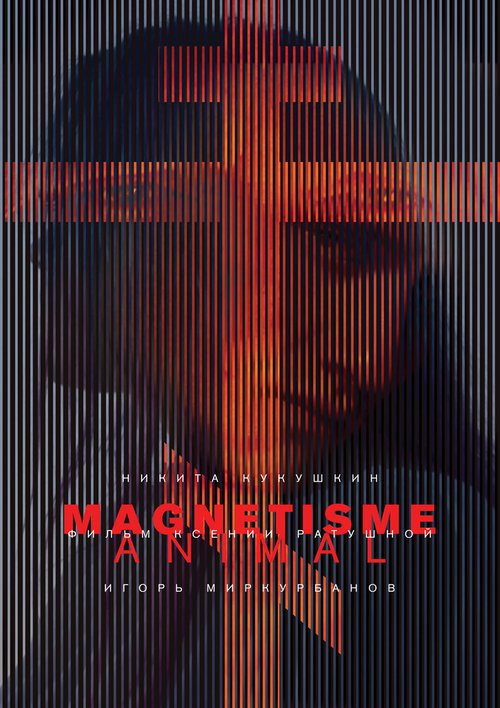 Магнетизм  (2016)