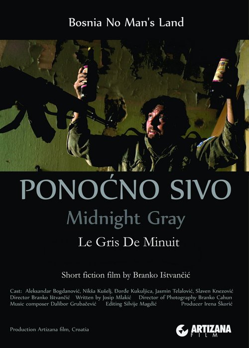 Midnight Gray  (2014)