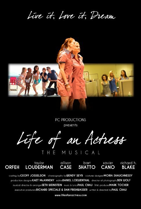 Мюзикл: Жизнь актрисы  (2014)
