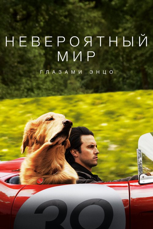 Невероятный мир глазами Энцо  (2019)