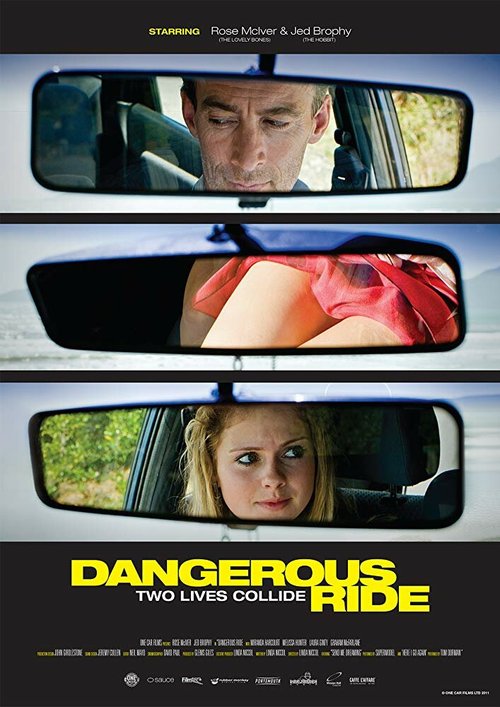 Опасная поездка  (2010)