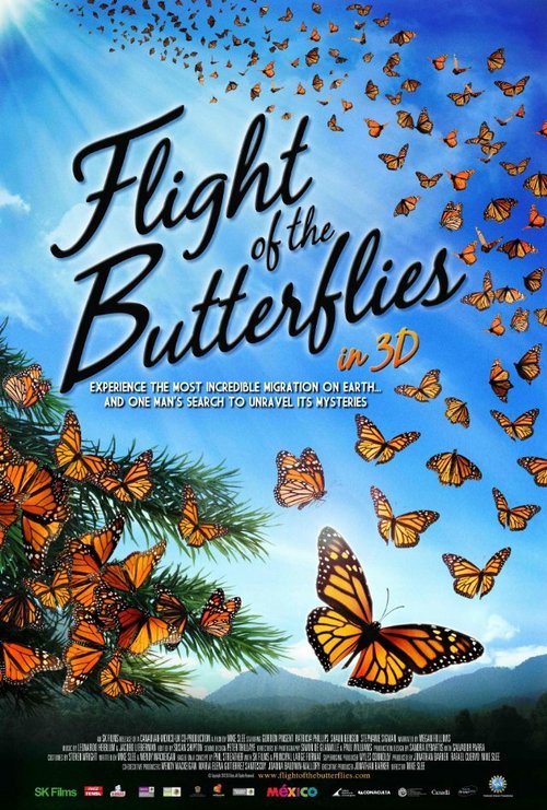Полет бабочек  (2012)