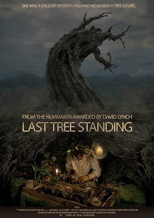 Последнее оставшееся дерево  (2017)