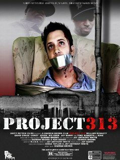 Проект 313