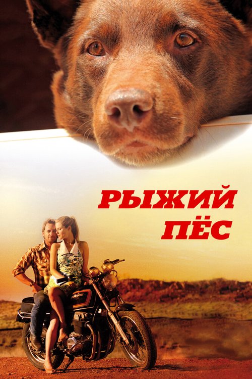 Рыжий пес  (1987)