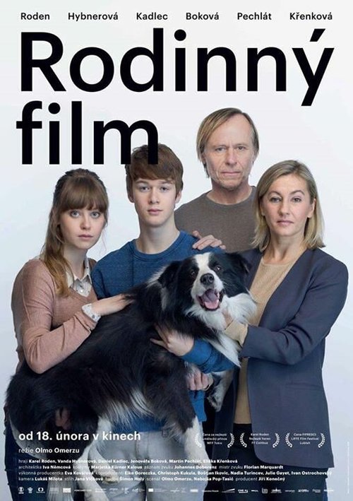Семейный фильм