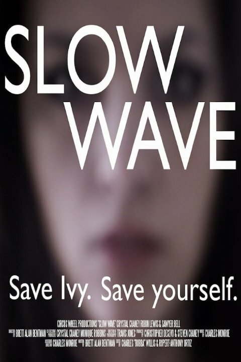 Slow Wave  (2014)
