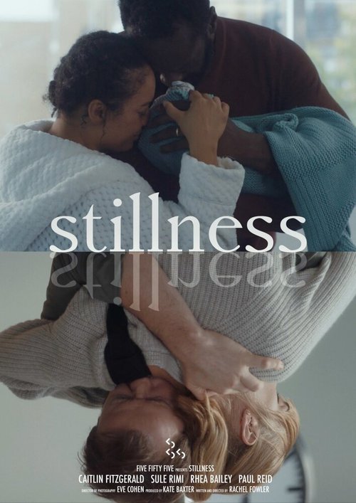 Stillness  (2020)