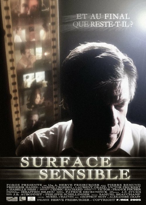 Surface sensible  (2006)