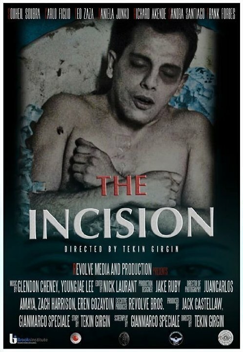 The Incision  (2014)