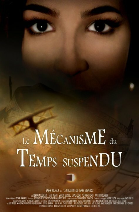 The Mechanism of Suspended Time  (2016)