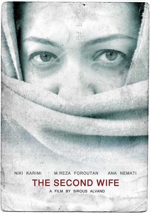The Second Wife  (2007)
