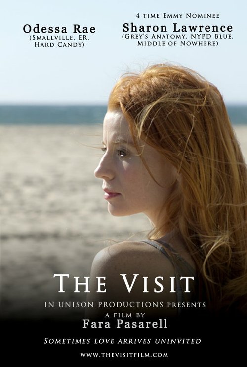 The Visit  (2012)