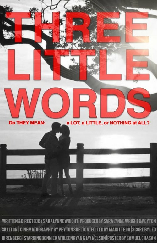 Three Little Words  (2013)