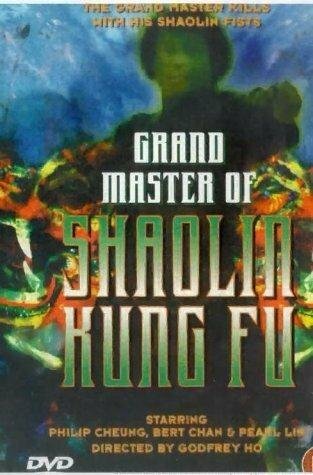 Великий магистр Шаолинь кун-фу  (1978)