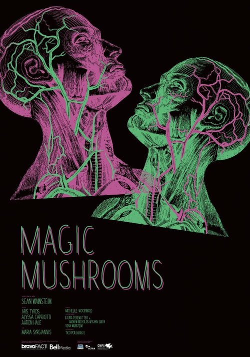 Волшебные грибы  (2017)