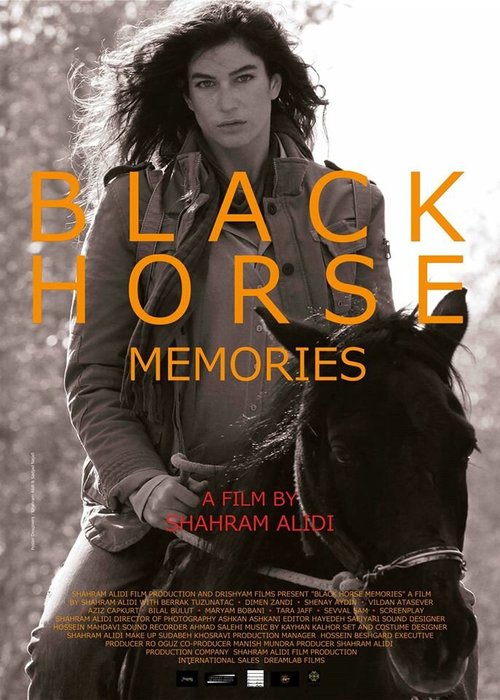 Вспоминая черную лошадь  (2015)