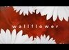 Wallflower  (2006)