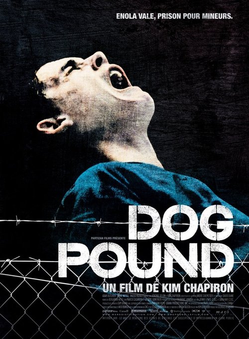 Загон для собак  (2003)