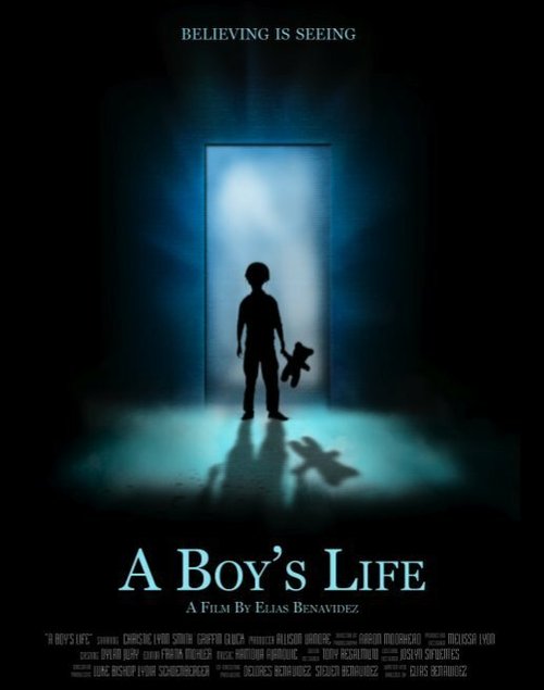 Жизнь мальчика  (2011)