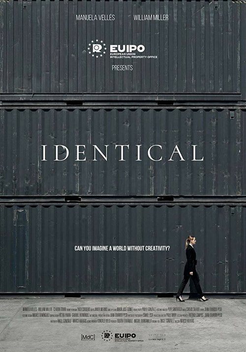 IPdentical  (2018)