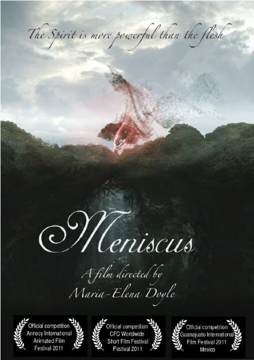 Meniscus  (2010)
