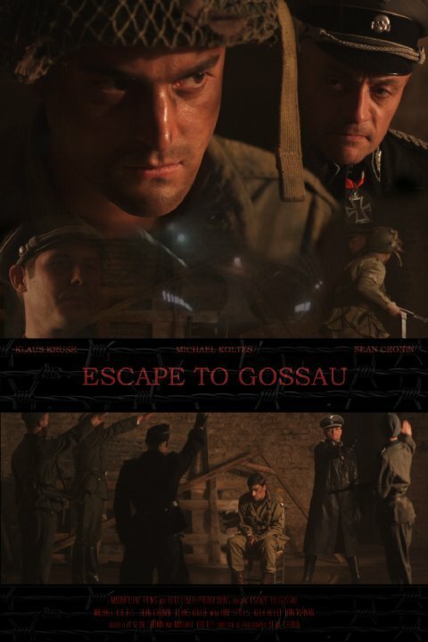 Escape to Gossau  (2013)