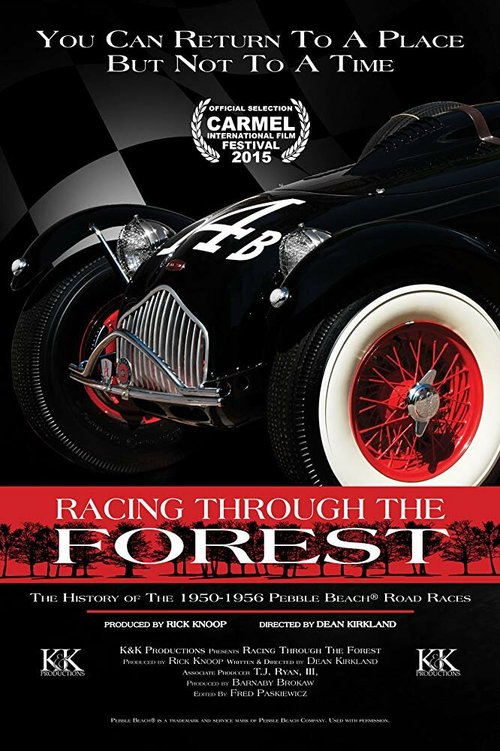 Racing Through the Forest  (2016)