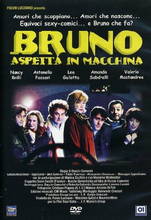 Bruno aspetta in macchina  (1996)