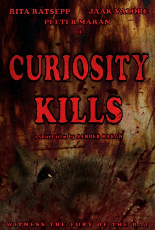 Curiosity Kills  (2012)