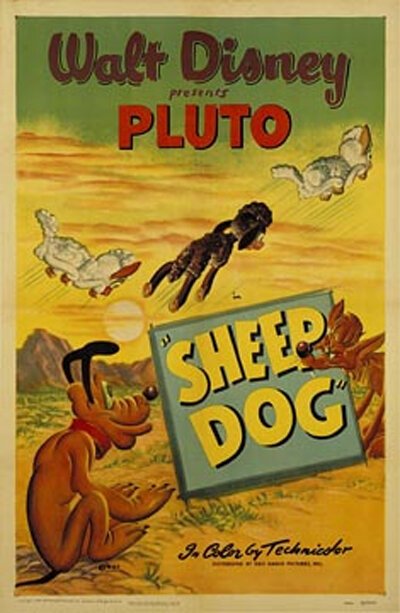 Овчарка  (1949)