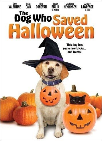 Собака, которая спасла Хэллоуин