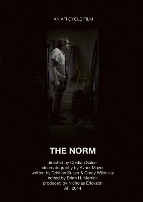 The Norm  (2014)
