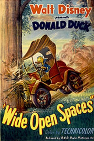Wide Open Spaces  (1947)