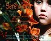 Serendipity  (1992)