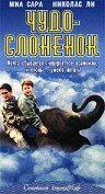Чудо — слоненок  (2001)