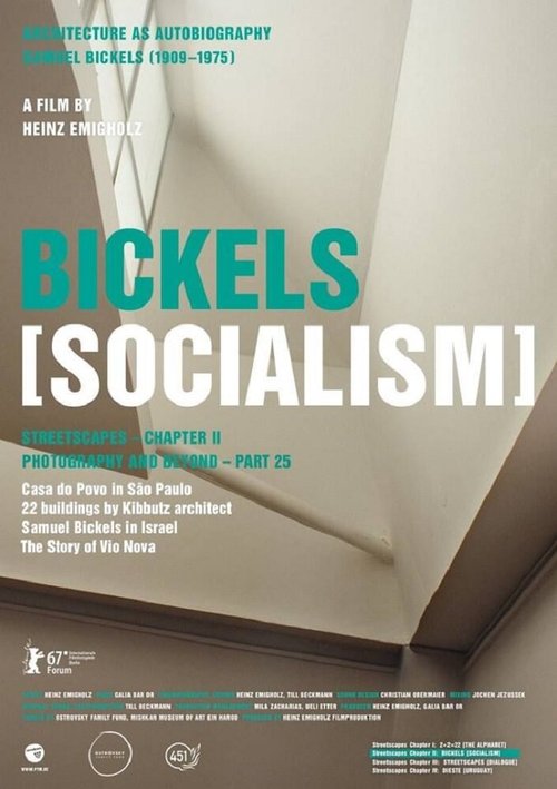 Bickels: Socialism  (2017)