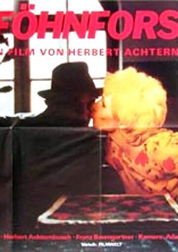 Die Föhnforscher  (1985)