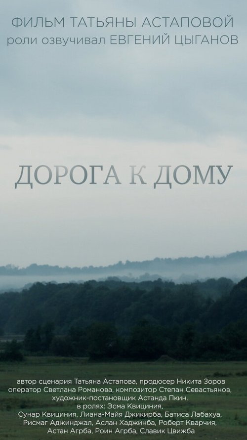 Дорога к дому  (2016)