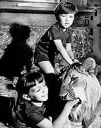 У меня есть лев  (1975)