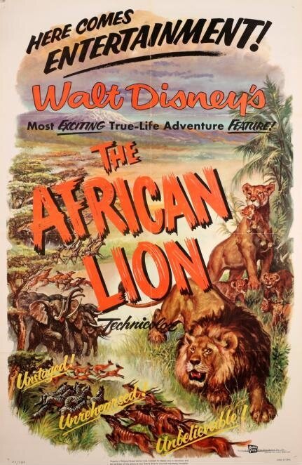 Африканский лев  (1955)