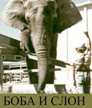 Боба и слон  (1972)