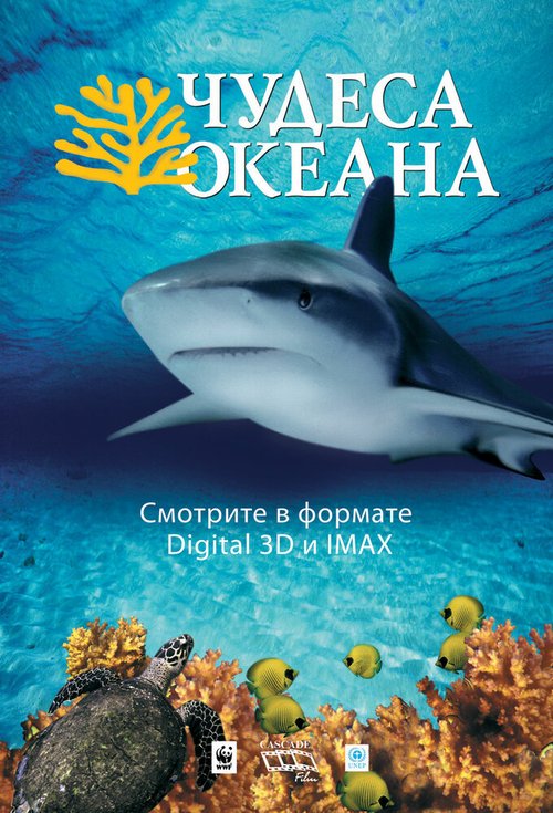 Чудеса океана 3D  (2007)