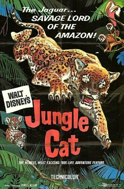 Дикая кошка джунглей  (1959)
