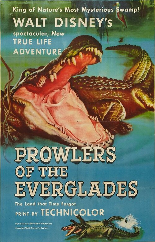 Prowlers of the Everglades  (1953)