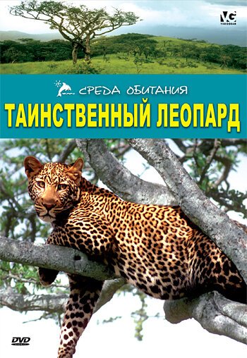 Таинственный леопард  (2001)
